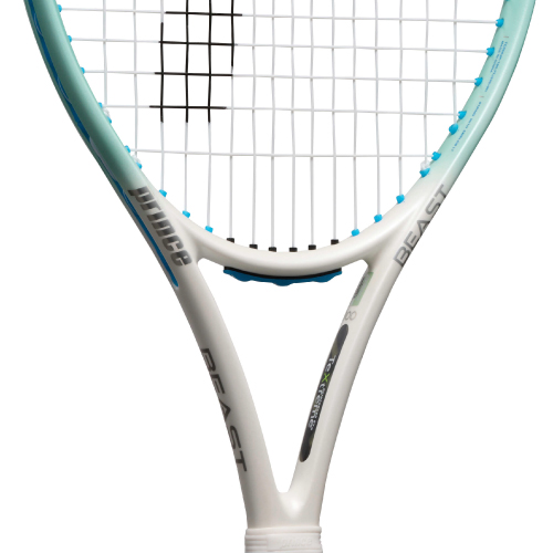 ウインザーオンラインショッププリンス ビースト 100 280g（prince