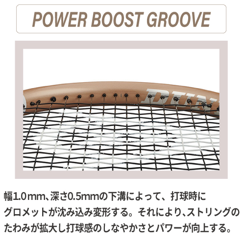 ウインザーオンラインショップダンロップ エルエックス 800 ( DUNLOP