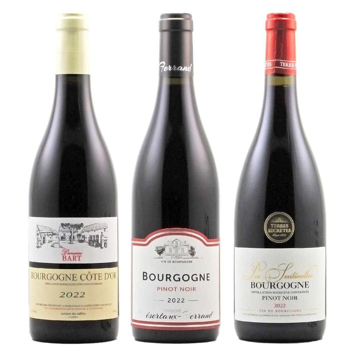 ブルゴーニュのピノ・ノワール飲み比べ！人気生産者の2022年赤ワイン3