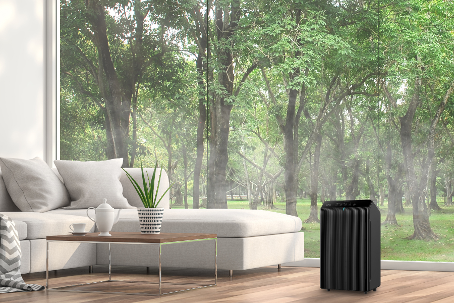 Filter X - 1712-0089-01 - Winix America Inc