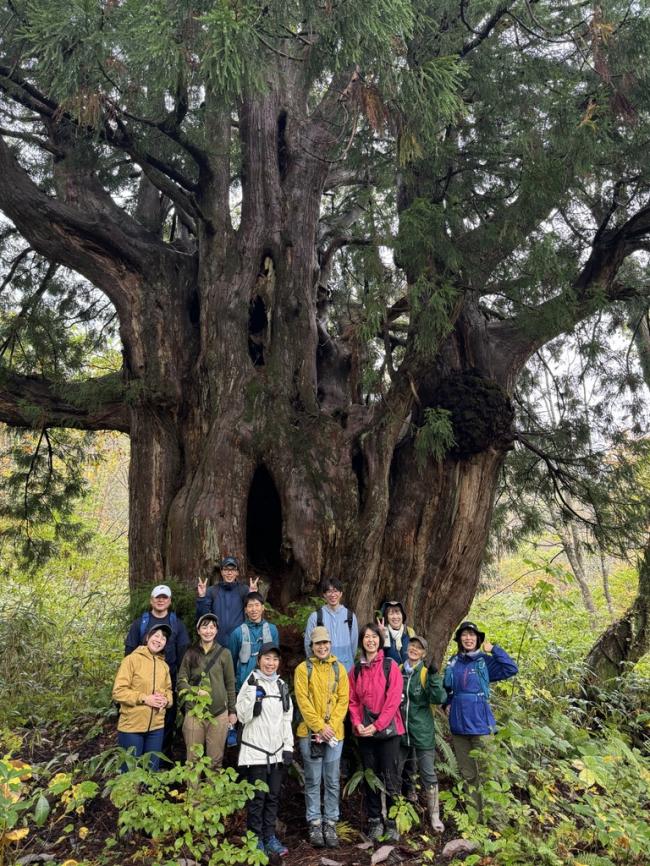剱の大王杉」トレッキング体験 - 富山県上市町公式ホームページ（企画課）
