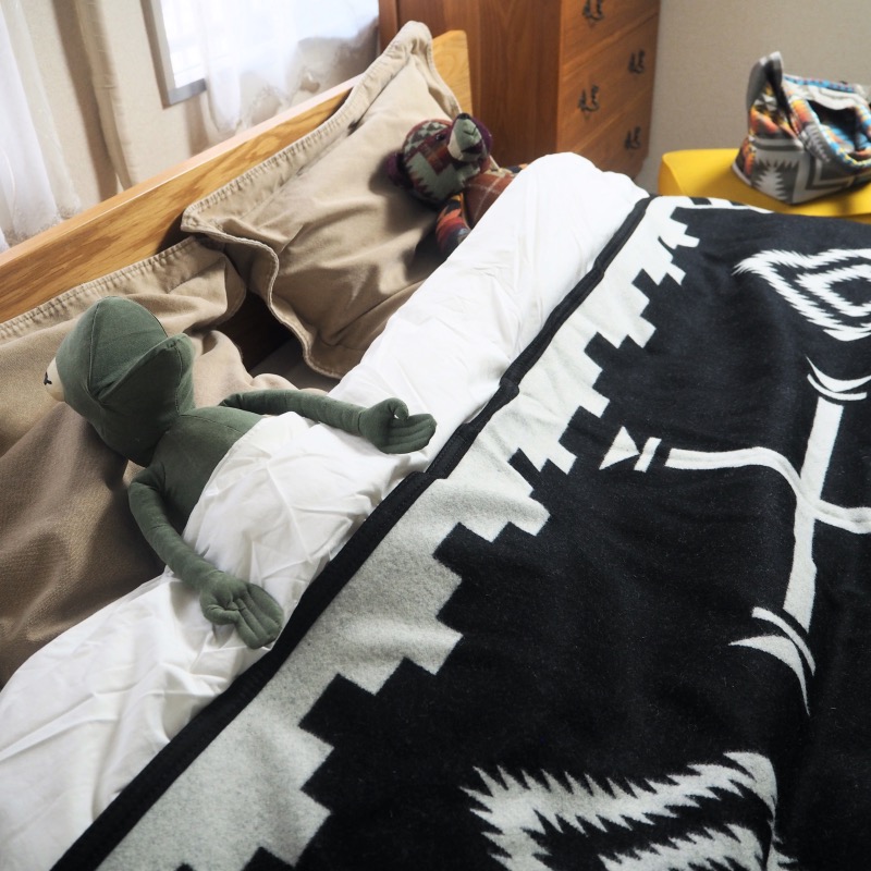 PENDLETON ペンドルトン 大判ブランケット LOS OJOS (162cmx203cm