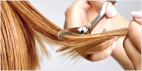 クイーンシグマ - TOGINON