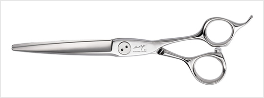 ダイナザウルス - TOGINON