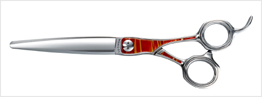 ダイナザウルス - TOGINON