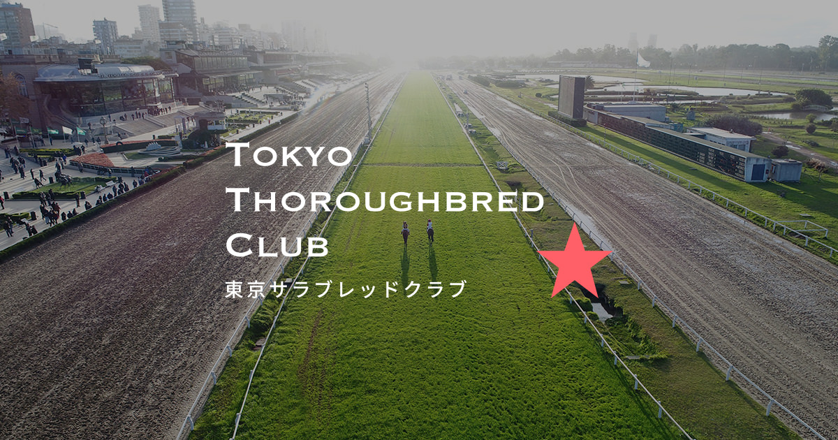 インディゴブルーの24 プロフィール｜募集馬一覧｜東京サラブレッドクラブ