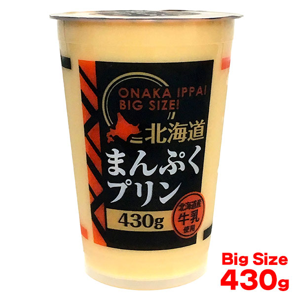 賞味期限2026/02/14 北海道まんぷくプリン 1個 430g ジャンボサイズの