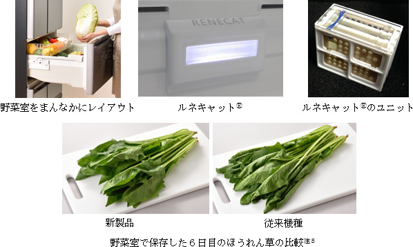 約95％以上の高湿度で野菜の鮮度を保持する冷蔵庫「べジータ」シリーズ