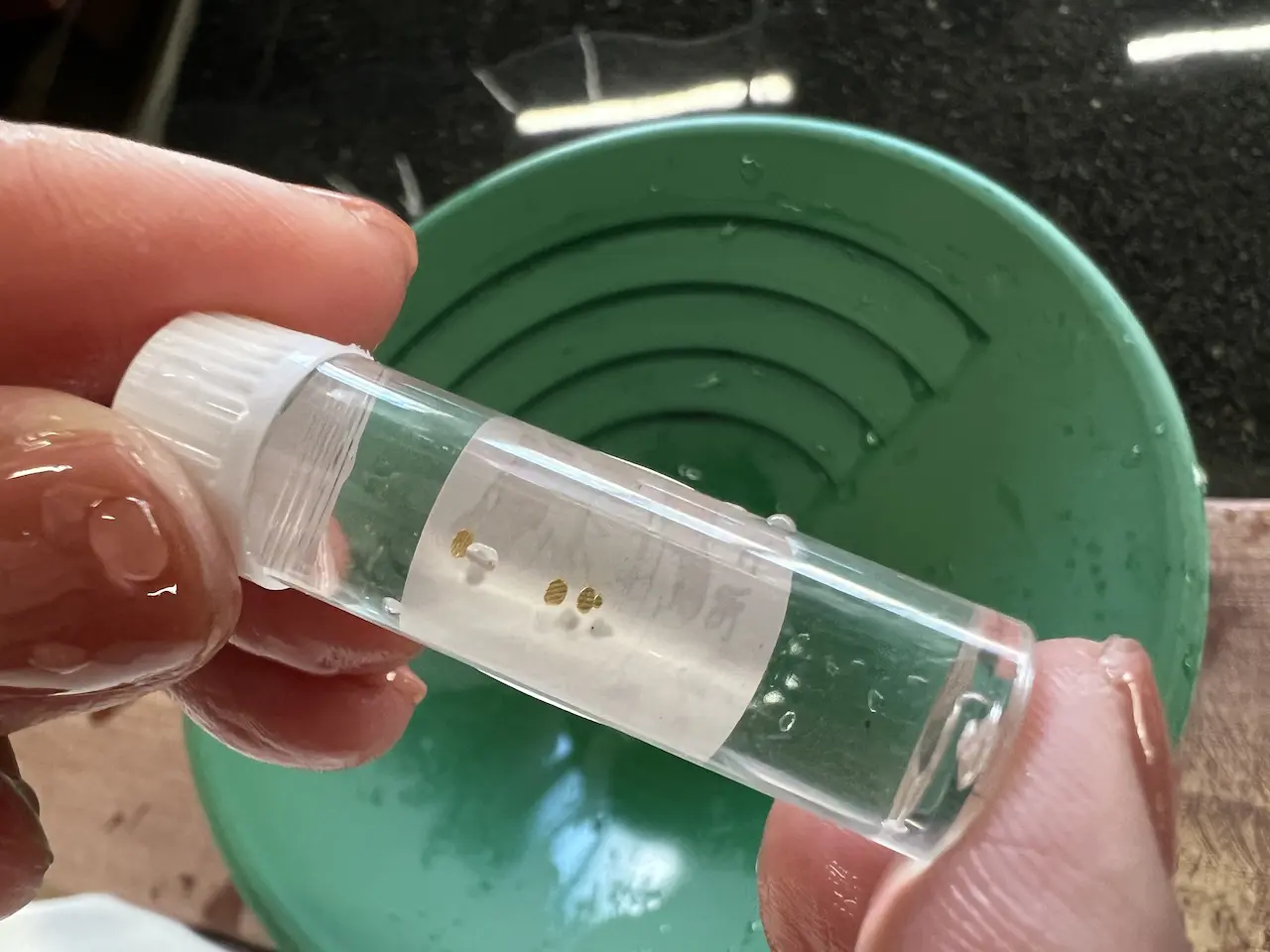 土肥金山砂金24K.純金130粒と石食い砂金！ 土肥金山砂金