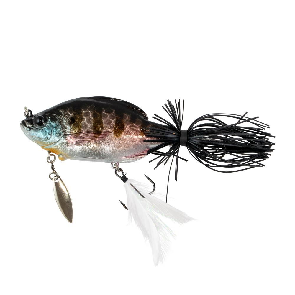 ZOE SERIES [tailwalk limited color] | tailwalk