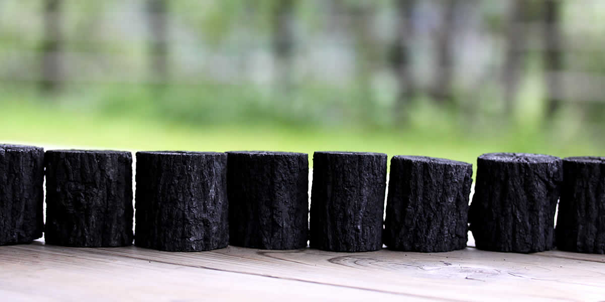 菊炭5個セット | 虎斑竹専門店 竹虎