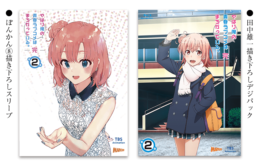 Blu-ray＆DVD｜TVアニメ「やはり俺の青春ラブコメはまちがっている。完