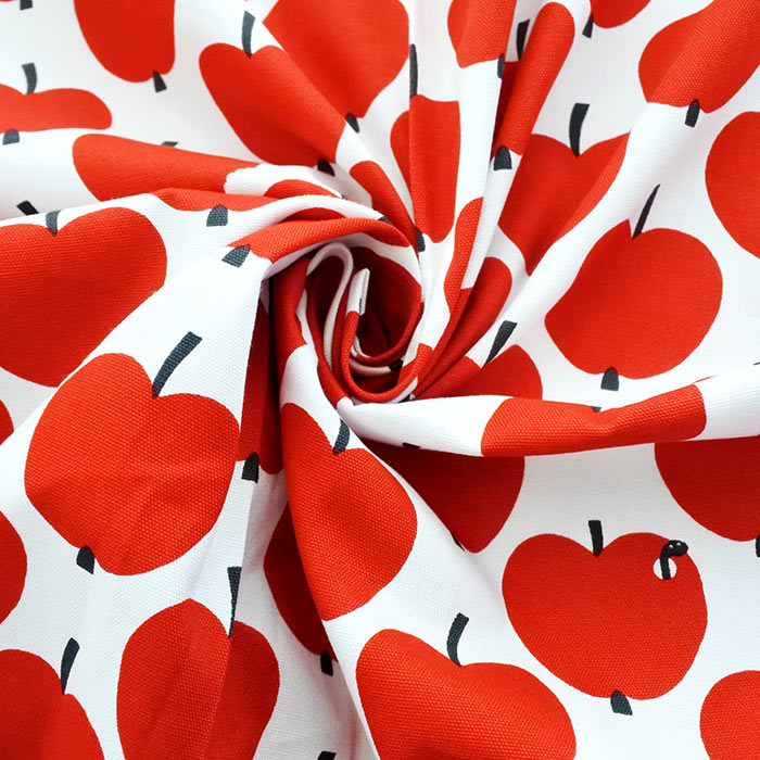 大きなリンゴ【レッスンバッグ】材料セット 作り方マニュアル付き 入園