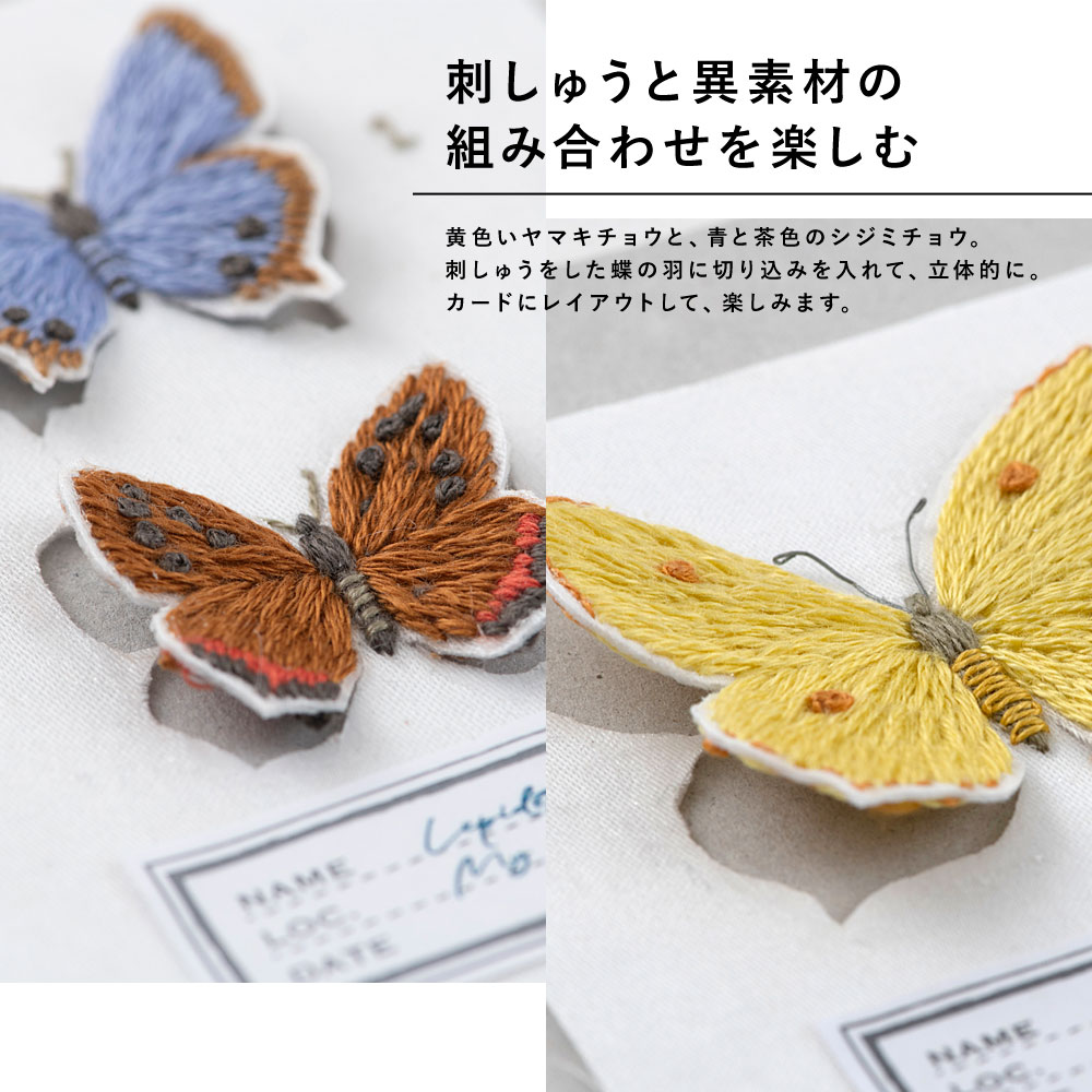 青木和子さんの刺しゅう「蝶の標本カード」: キット｜手づくりタウン