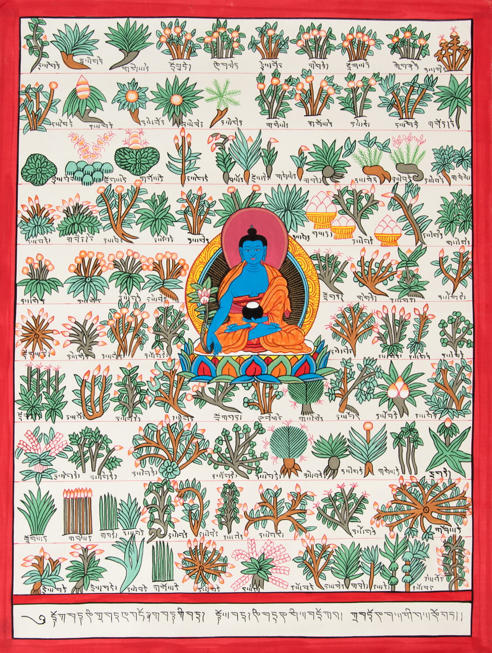 一点物〕タンカ - チベット医学四部医典薬草図[36x48cm] の通販[送料