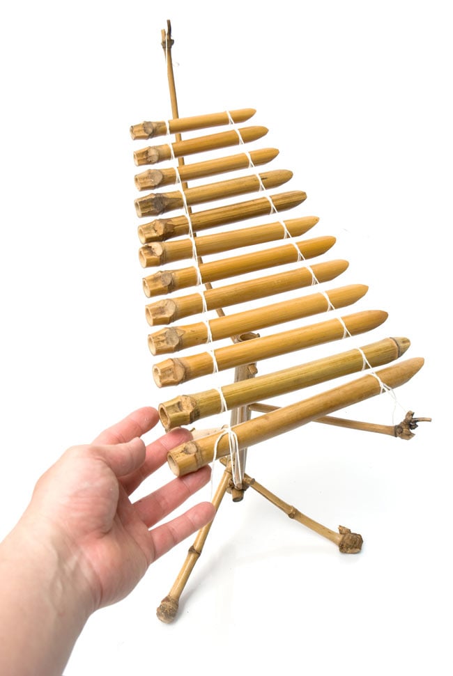 ベトナムのミニ竹琴（ダン・トルン） の通販 - TIRAKITA.COM