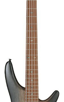 レビュー】Ibanez SR505 弾きやすさ最強の5弦ベース。｜ギタリスト