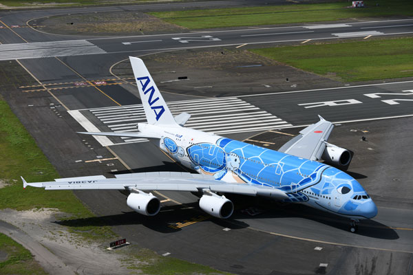 ANA、A380「フライング・ホヌ」就航5周年 くす玉とケーキで“誕生日