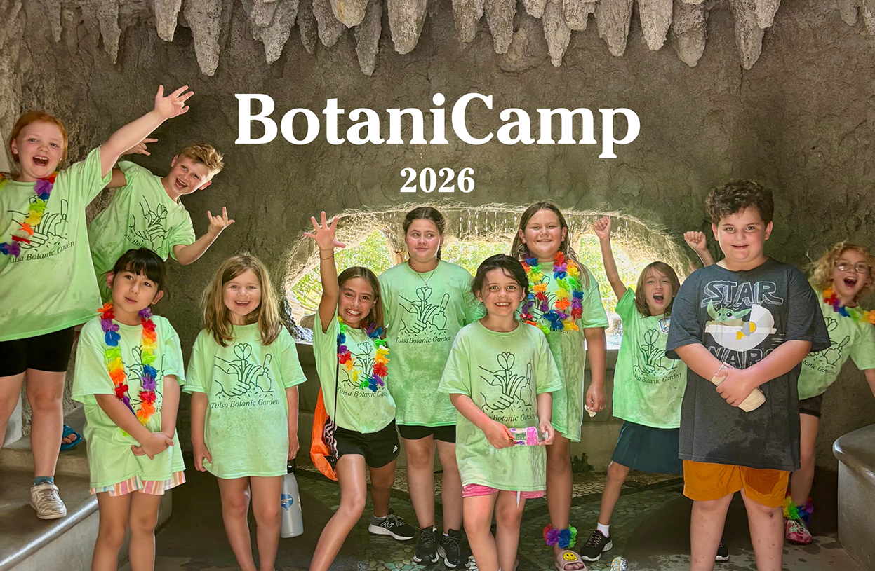 Sean Kenney's Nature Connects® Made with LEGO® Bricks - Tulsa