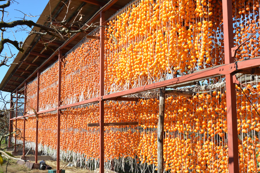 須田青果園／紅干し柿 2Lサイズ(32果)