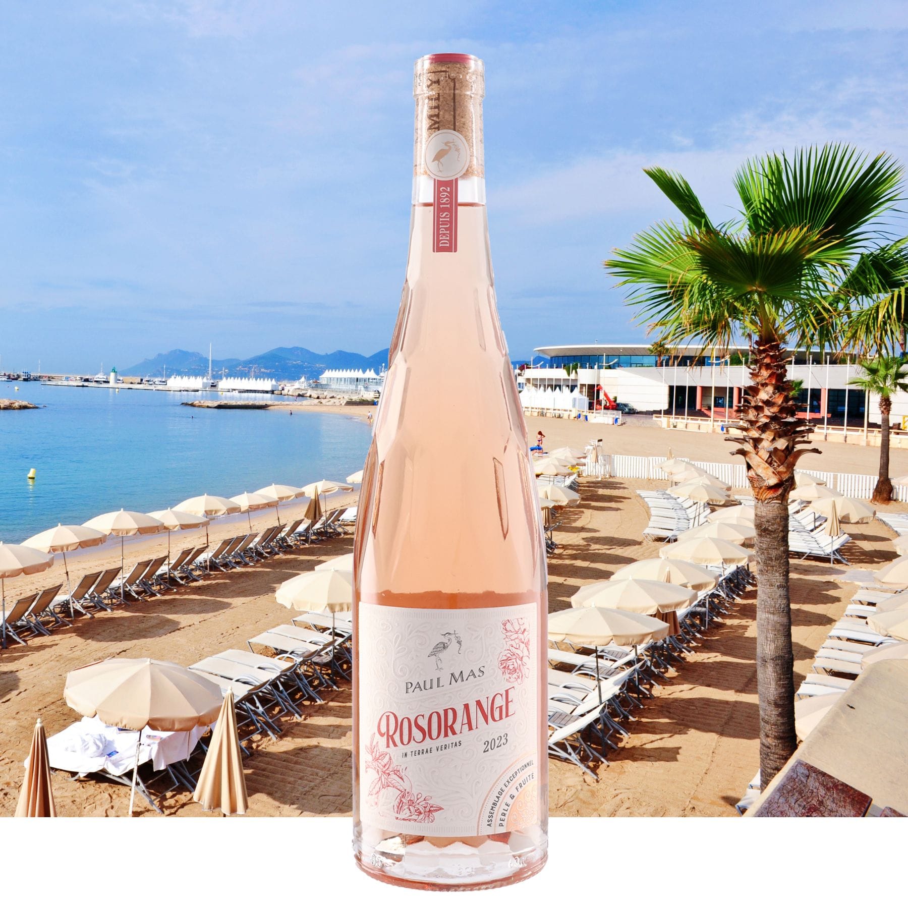 ロゾランジュ／ドメーヌ・ポール・マス