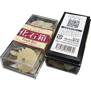 UCHIDASウチダス光る石の不思議な世界（蛍光鉱物セット）: 理科