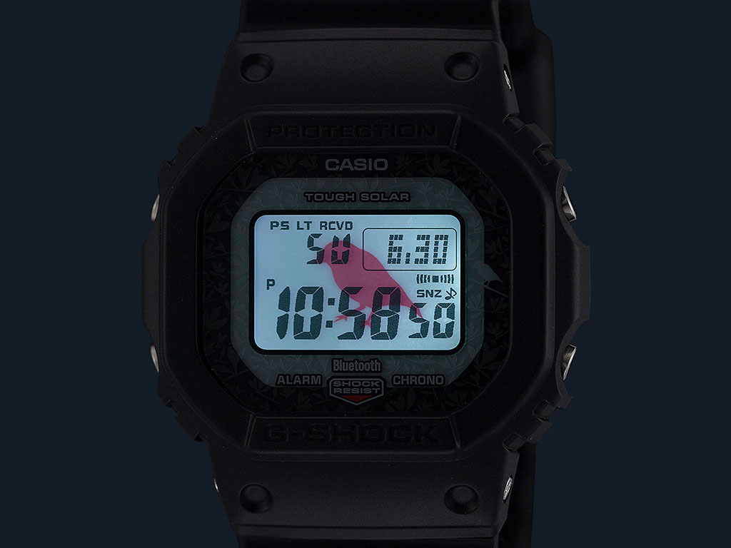 GW-B5600CD-1A3JR／カシオ＜G-ショック＞チャールズ・ダーウィン財団