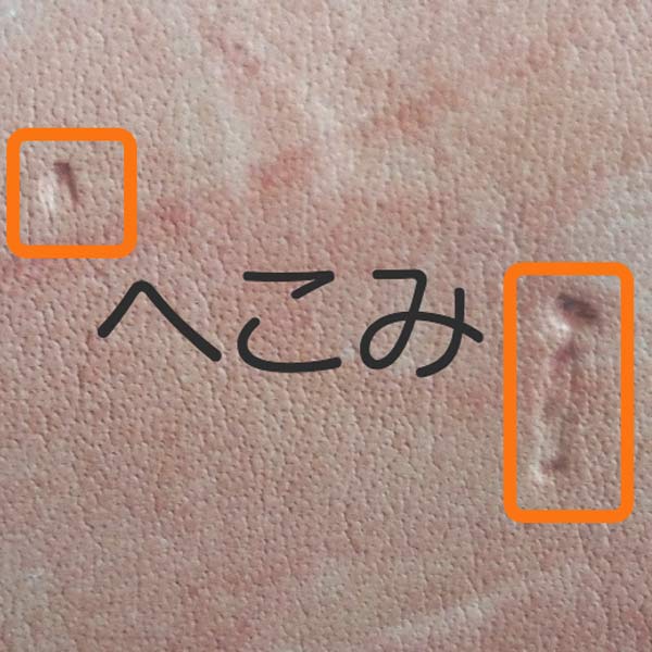 ベルト｜ウエサカ オフィシャルサイト