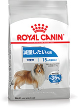 ロイヤルカナン ゴールデンレトリバー 成犬・高齢犬用 12kg / 送料無料