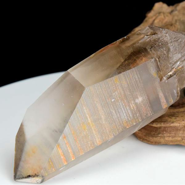 ホホジロザメ 歯 牙 化石｜サメの歯（約8g～10g）｜モロッコ産