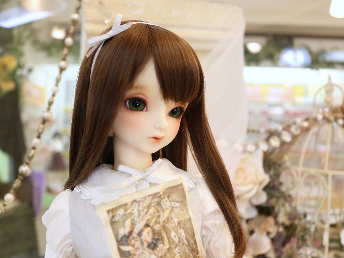 ウィッグチェンジで新たな魅力発見♪ドルフィー用ヘアウィッグのご紹介