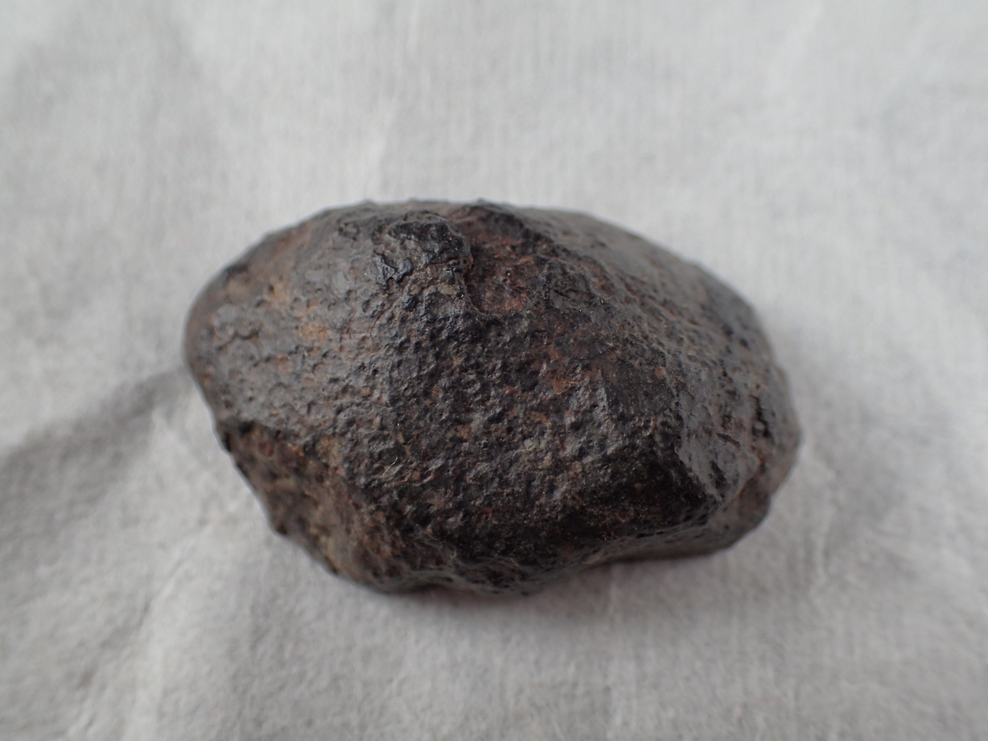 最高品質石質隕石（NWA869 Condrite） L4-6 コンドライト Foud