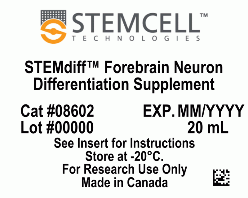 STEMdiff Forebrain Neuron Differentiation Kit | 製品情報 | ベリタス