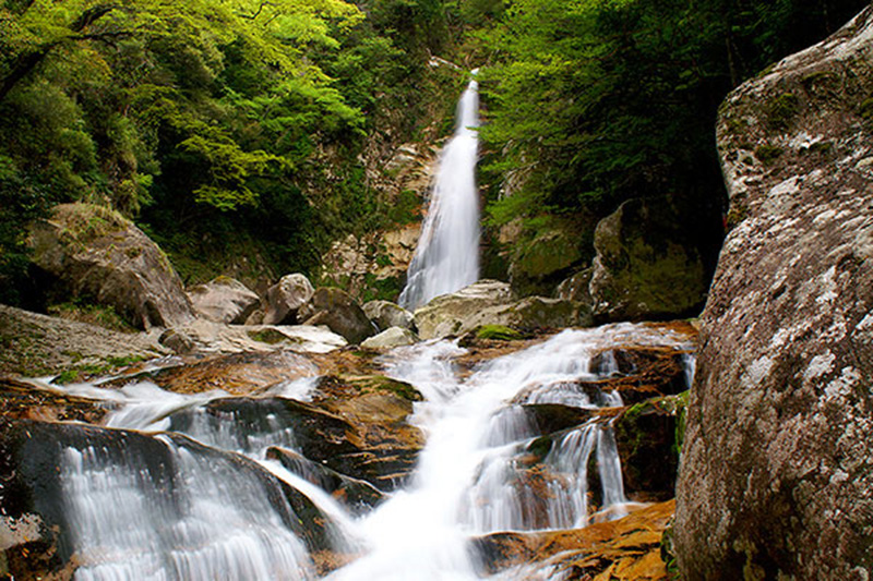 Adventure 全身で感じる大自然 ｜ 十津川村観光サイト