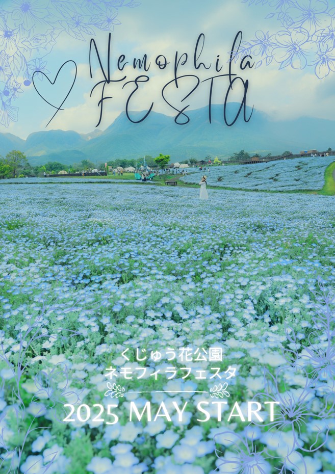 くじゅう花公園の青の絶景、ネモフィラ満開へ〜青空の下、風にそよぐ8