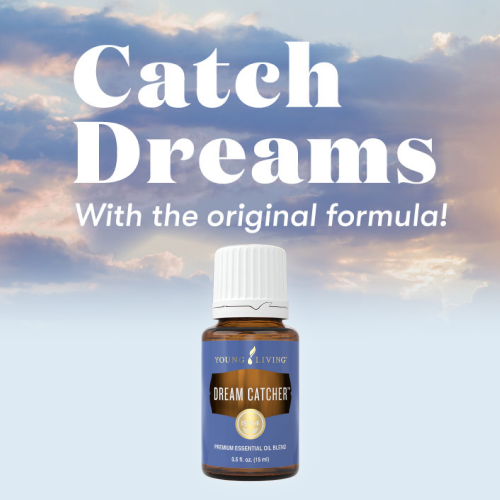 新製品、限定販売製品、キャンペーン製品を一覧でご紹介しています