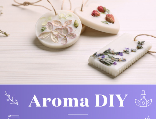 YLおトク便パックに新たなセットが仲間入り！ニンシアレッド愛用者に