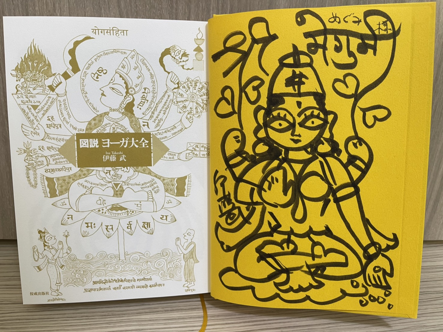 図説マルマ】発売記念特別講座 第一弾『これは知らなかったヨーガ