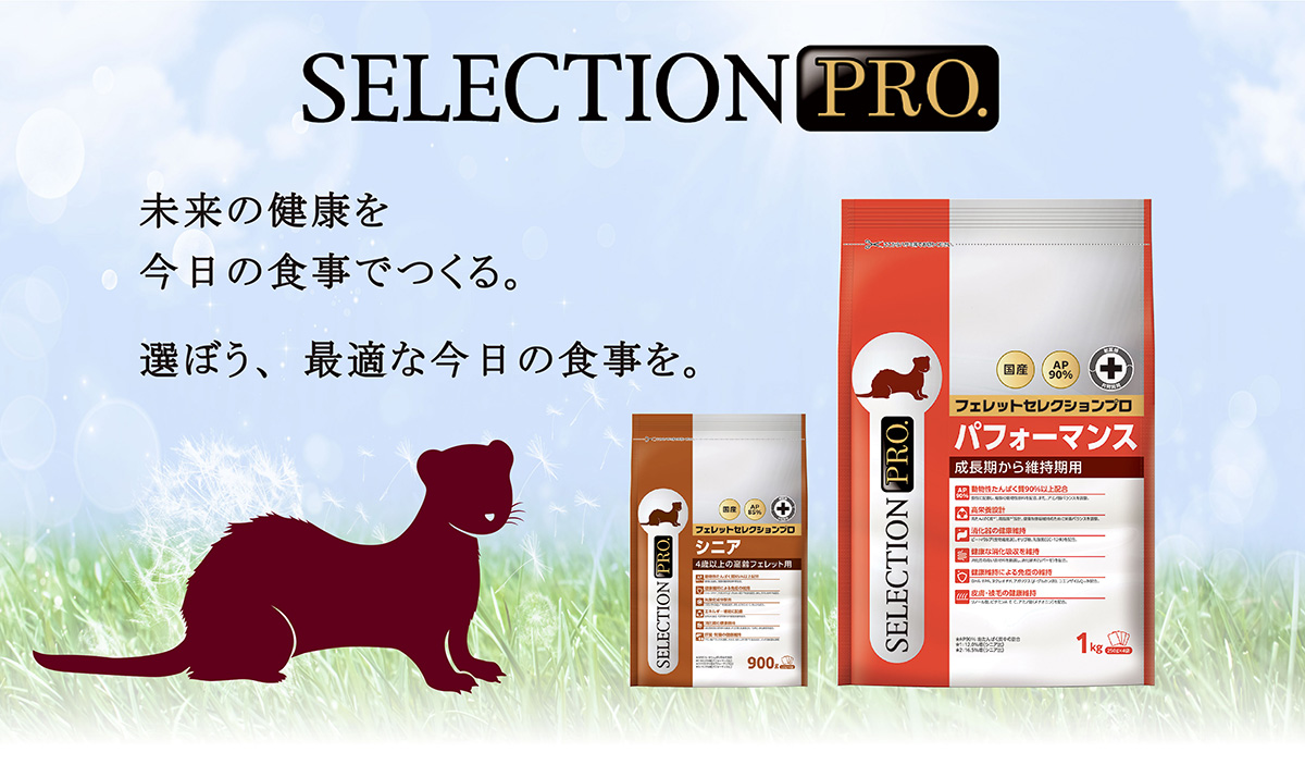FERRET SELECTION PRO.｜ブランドサイト ― TOP