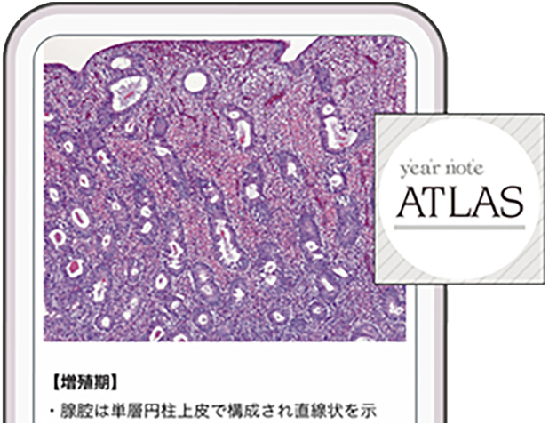 イヤーノート 内科・外科 | yearnote イヤーノート