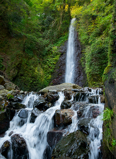 周辺観光 | 滝元館 遊季の里【公式HP】養老の滝・養老温泉 孝子伝説