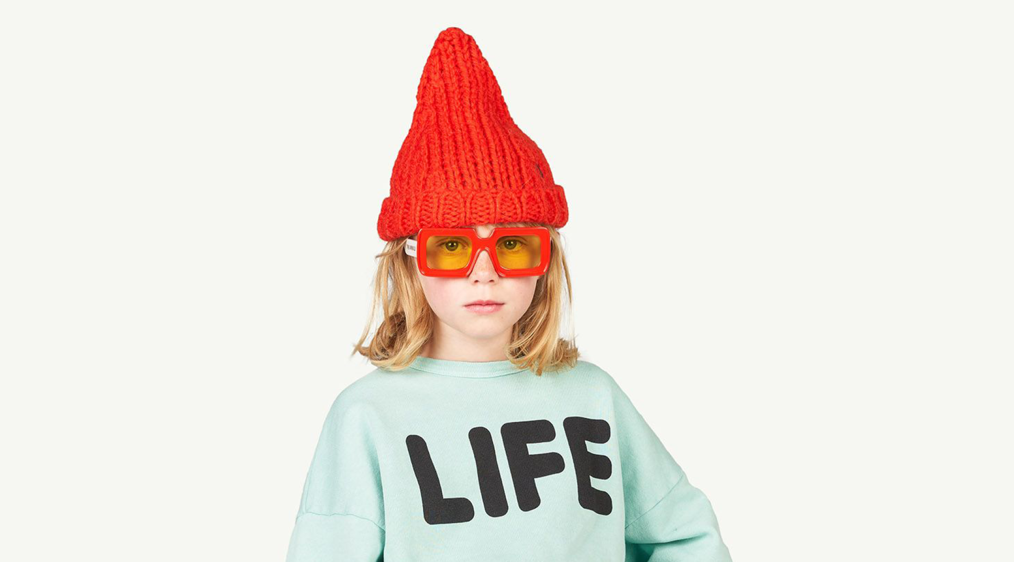 The Animals Observatory x Yuma Labs