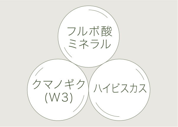新製品「木木と ミネラル」販売開始について – ウィンライフ・ジャパン