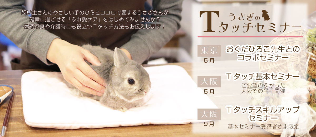 うさぎのTタッチセミナー2025 – ココロのおうちのうさぎLife