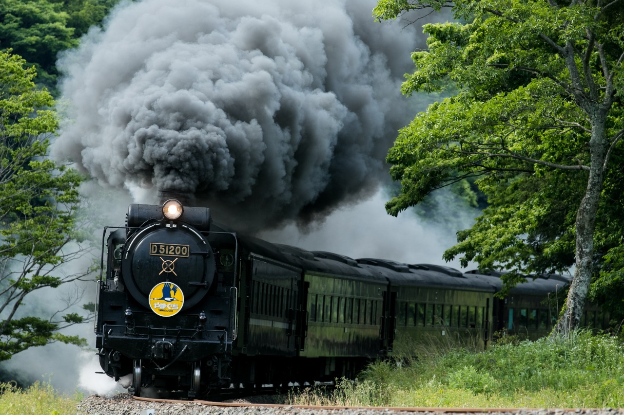 SL列車でめぐる萩・津和野・秋吉台｜モデルコース｜【公式】山口県観光