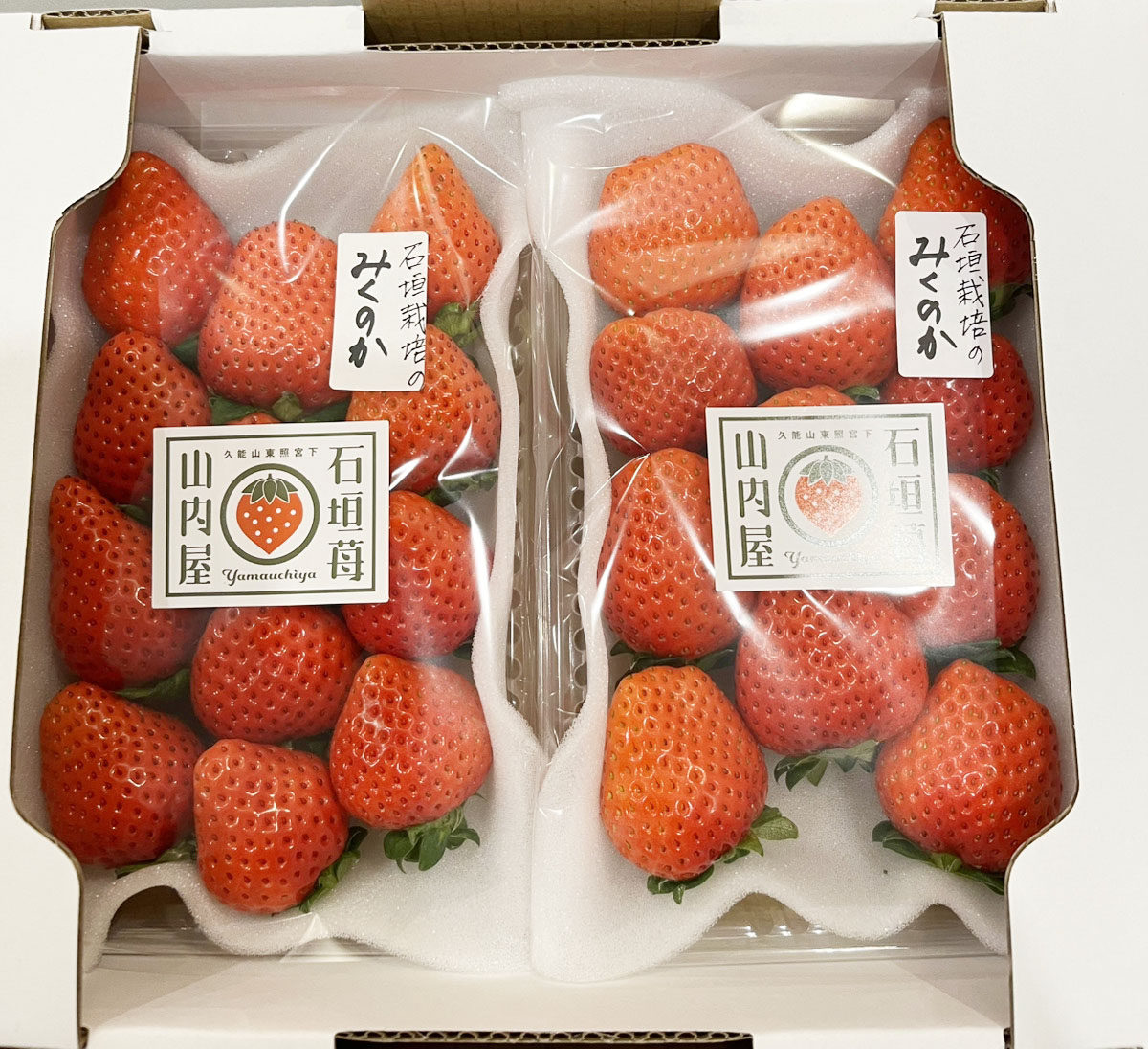 2025年山内屋、初登場「みくのか」いちご通販開始いたしました