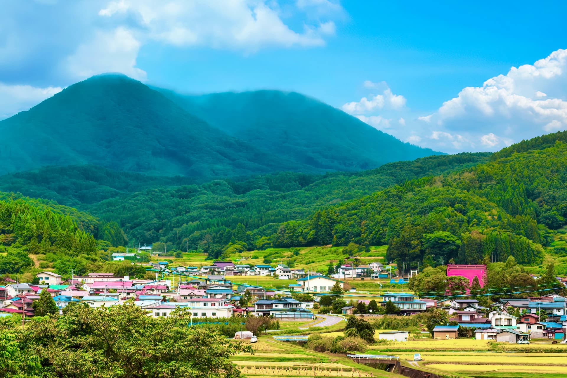 遊佐窯 | 長野・飯綱の大自然の中で「多肉植物と陶芸体験」
