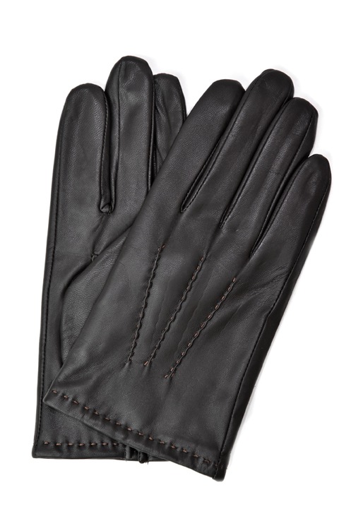 DENTS(デンツ)のレザーグローブ - ZABOU BLOG