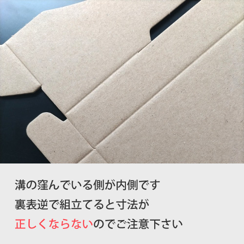 ZAP 差込み式メール便ケース クロネコDM便 ゆうパケットA5サイズ