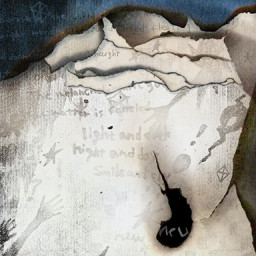 zxuu · player info | ‭osu!‬